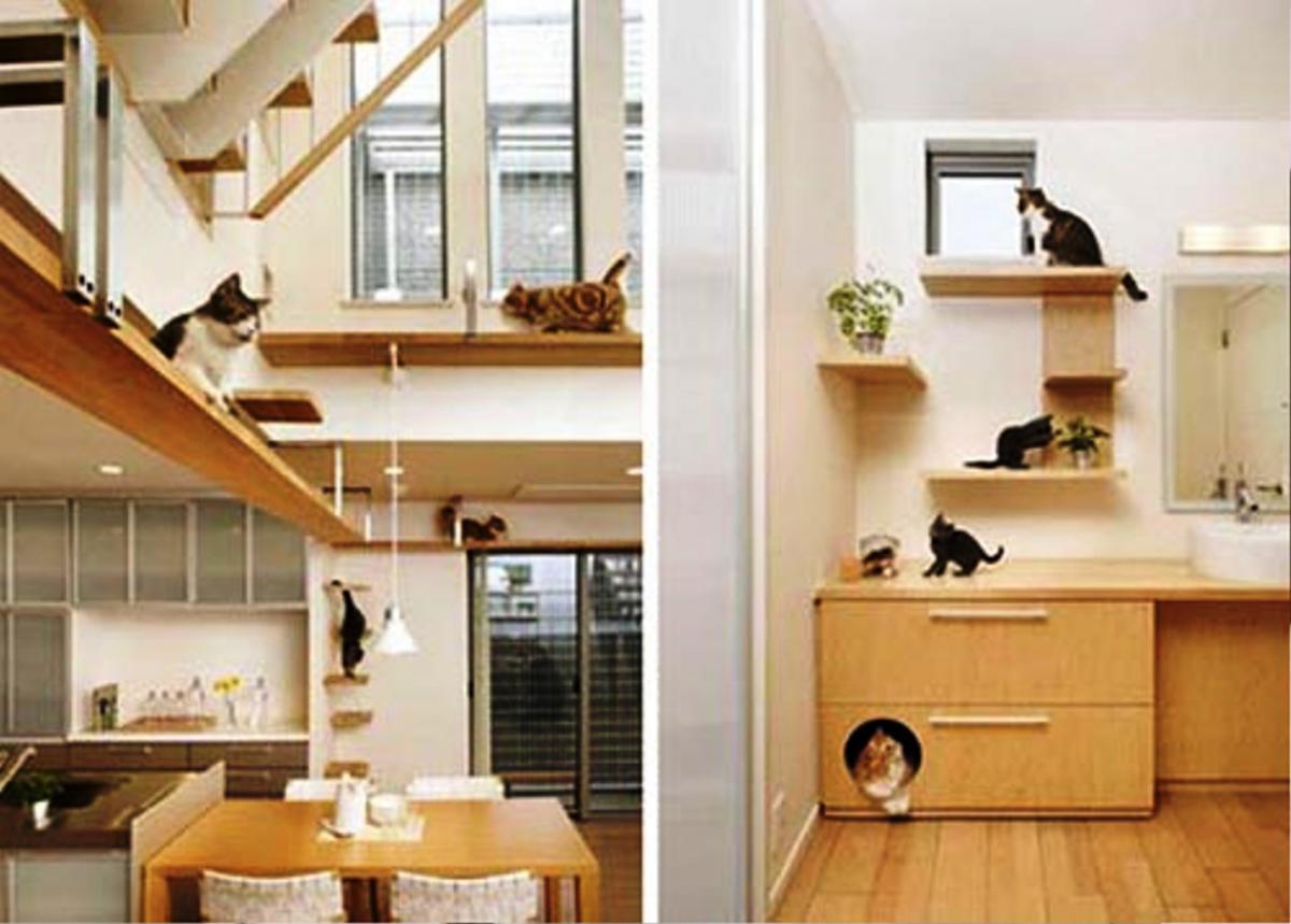 The petting room. Домик для кошки в интерьере. Интерьер для кошек в квартире. Современная мебель для кошек. Идеи для кошек в интерьере.