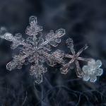 Russian Macro-Photographer Creates Amazing Individual Snowflake Images