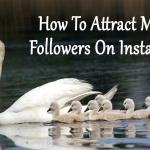 How To Attract More Followers On Instagram