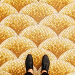 The Stunning Mosaics of Parisan Floors by Sebastian Erras