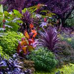 Landscape your yard: effective strategies for beginner gardeners