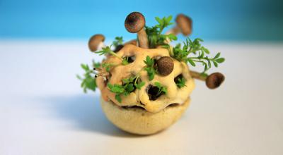 Snacks Made with 3D Printer By Chloé Rutzerveld