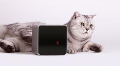 Petcube Review - Stay in Touch with Your Pets Anywhere, Anytime