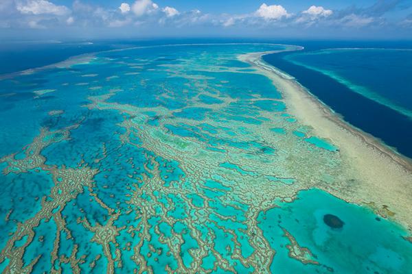 Dazzling Photography from the Great Barrier Reef - ViewKick