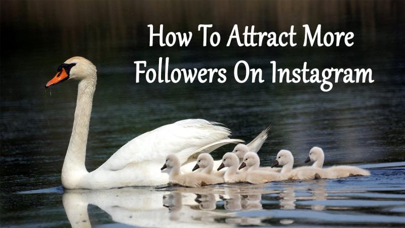 How To Attract More Followers On Instagram Viewkick